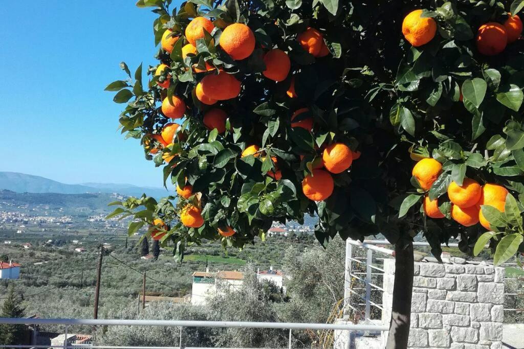 Nafplio, Hill With An Amazing View Apartment Bagian luar foto