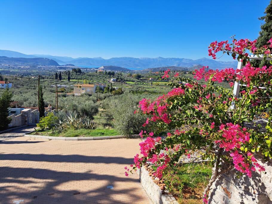 Nafplio, Hill With An Amazing View Apartment Bagian luar foto